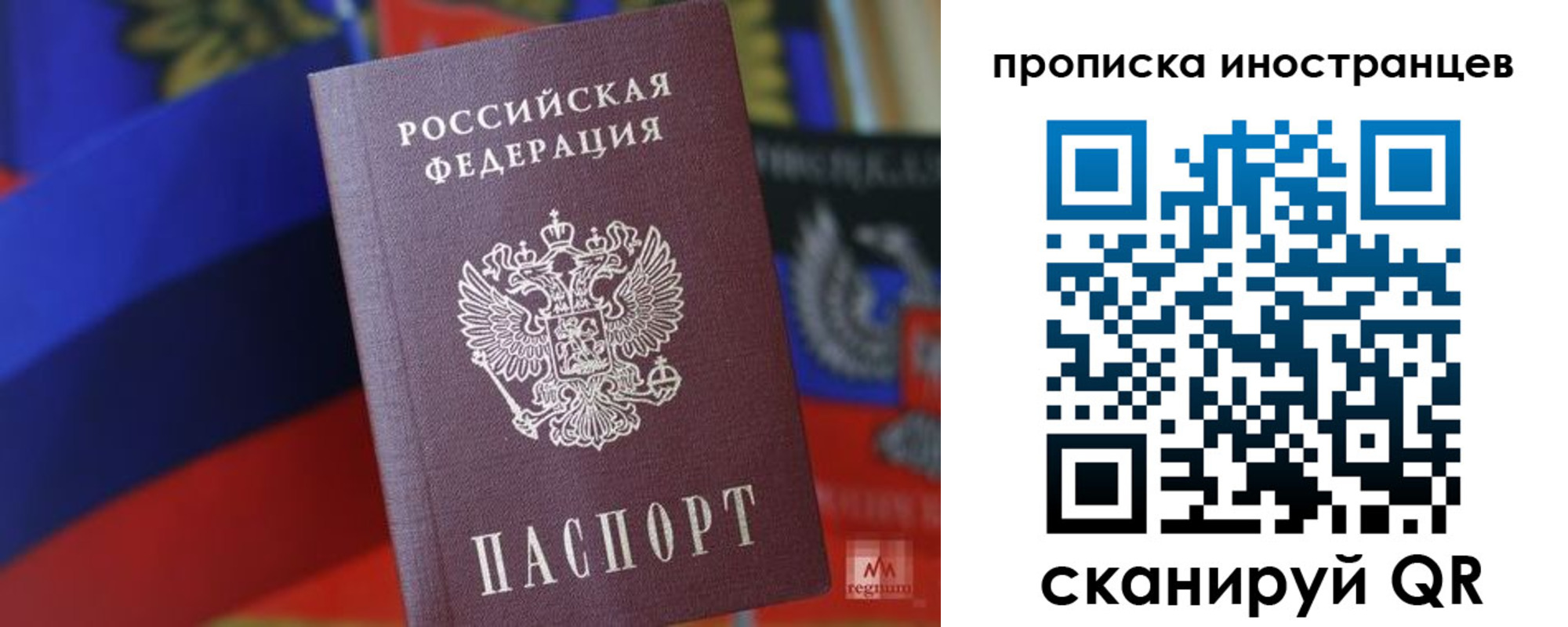 прописка законно в Александровске
